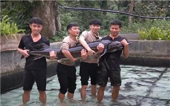 Tuần lễ Nông sản Việt 2025: Thúc đẩy tiêu dùng nội địa trong kỷ nguyên số