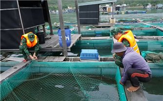 Gia Lai kêu gọi gần 1.900 tàu vào bờ tránh trú bão số 12