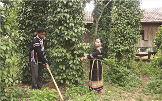 Buôn Thung hôm nay