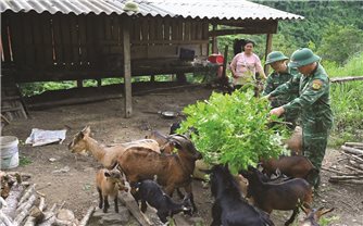 Xứng danh “Bộ đội Cụ Hồ” nơi tuyến đầu Tổ quốc