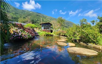 Thức giấc giữa biển mây và sắc màu vùng biên