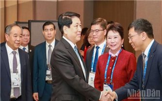 Chủ tịch nước Lương Cường tiếp nhà sáng lập Tập đoàn MEBO International