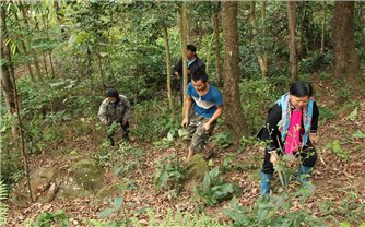 Tăng cường khả năng thích ứng với biến đổi khí hậu và thúc đẩy quản lý rừng bền vững