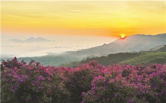 Sắc tím ở Vân Hồ