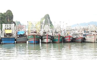 Quảng Ninh huy động hơn 17.000 người ứng phó bão Matmo