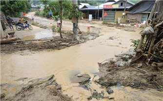 Dương Quỳ ngổn ngang sau mưa lũ