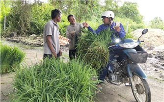 Ấn tượng chợ bán một mặt hàng nuôi sống hàng trăm gia đình người Khmer