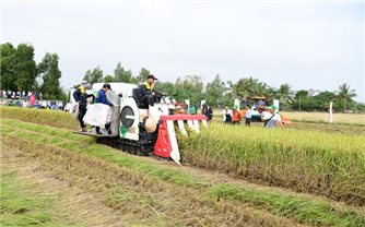 Khẩn trương sắp xếp nhân sự khuyến nông, văn phòng đăng ký đất đai về cấp xã quản lý