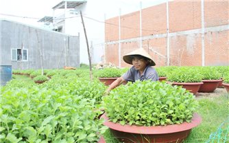 Các địa phương khẩn trương khôi phục sản xuất sau bão số 13