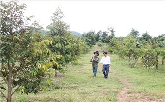 Những đảng viên lan tỏa phong trào sản xuất giỏi trong vùng đồng bào DTTS xã Ya Ly