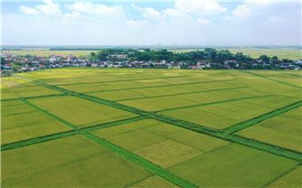 Các trường hợp được miễn thuế sử dụng đất nông nghiệp đến hết ngày 31/12/2030