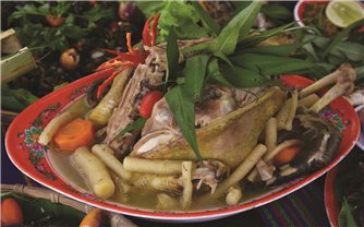 Sâm dây - Hương vị đại ngàn Trường Sơn