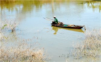 Tái diễn tình trạng đánh bắt cá bằng kích điện hủy hoại môi trường