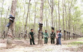 Hiệu quả mô hình “Gắn kết hộ” của đồng bào DTTS nơi biên giới