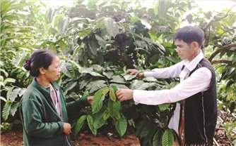 Lan tỏa phong trào làm kinh tế giỏi trong vùng đồng bào DTTS