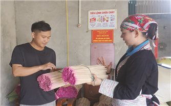 Nữ Bí thư Chi bộ người Dao mang sức trẻ xây dựng quê hương