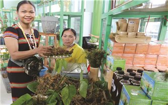 Gặp những người nông dân vượt khó làm giàu