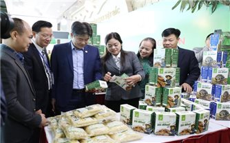 OCOP Thái Nguyên: Chắt lọc tinh hoa - Lan tỏa bản sắc