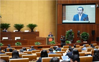 Tăng phân cấp, phân quyền, giảm thủ tục hành chính trong lĩnh vực nông nghiệp và môi trường