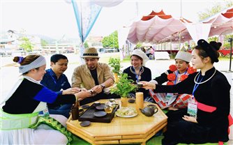 Chương trình OCOP tại Tuyên Quang: Đưa nông sản vươn tầm