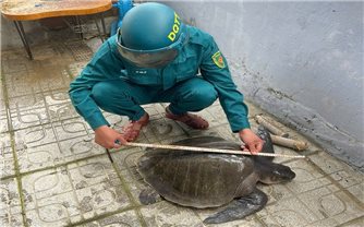 Thả lưới được động vật quý hiếm, người dân bàn giao cơ quan chức năng