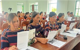 Gia Lai: Khởi động Dự án phát triển cây dược liệu sa nhân tím gắn với bảo vệ rừng và sinh kế cộng đồng