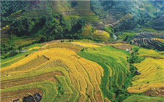 Tập trung ưu tiên đầu tư phát triển vùng đồng bào DTTS và miền núi