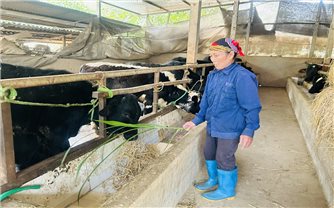 Yên Bình (Lạng Sơn): Đẩy mạnh chuyển đổi cây trồng, vật nuôi để giảm nghèo bền vững