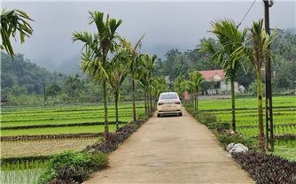 Thanh Hóa: Diện mạo nông thôn mới từ chung tay của Nhân dân