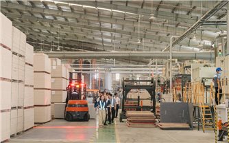 Tuyên Quang: Lâm nghiệp khẳng định vai trò trụ cột kinh tế xanh