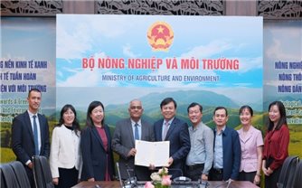 Các tổ chức quốc tế hỗ trợ Việt Nam khắc phục hậu quả thiên tai, bão lũ