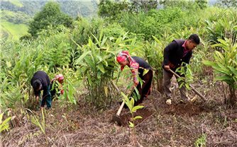 Lai Châu: Người có uy tín chung tay góp sức xây dựng quê hương