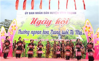 Bình Định: Khai mạc Ngày hội thưởng ngoạn hoa trang – hòa quyện văn hóa và thiên nhiên