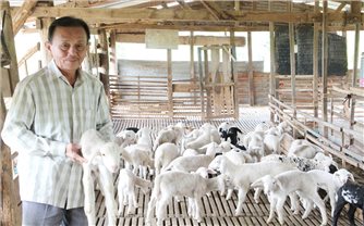 Chuyện làm giàu của nông dân Sằn Ỳ Sềnh
