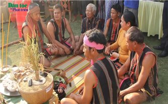 Lễ hội Mừng lúa mới của dân tộc Xtiêng