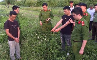 Thanh Hóa chỉ đạo xử lý nghiêm vụ xâm phạm lăng mộ vua Lê Túc Tông