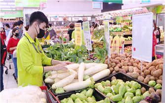 Quảng Nam tăng cường kiểm tra, xử lý vi phạm về an toàn thực phẩm và thuốc chữa bệnh giả