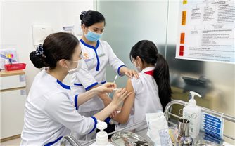 Gia Lai có số ca tử vong do bệnh dại cao nhất cả nước