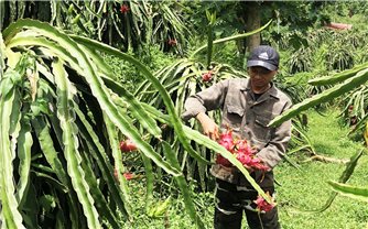 Nguồn lực Chương trình MTQG 1719 góp phần thúc đẩy phát triển kinh tế - xã hội ở Bảo Yên