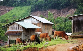 Rào cản thoát nghèo do chồng lấn địa giới hành chính: Đồng bào cần sớm được an cư lạc nghiệp (Bài cuối)