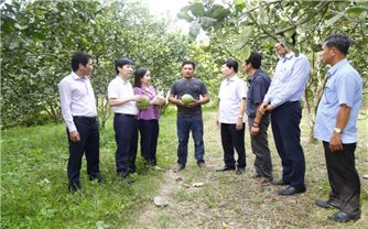Khánh Hòa: Vốn tín dụng chính sách tiếp thêm động lực để người dân thoát nghèo bền vững