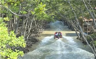 Khám phá rừng Sác: Di sản lịch sử và thiên nhiên hoang dã