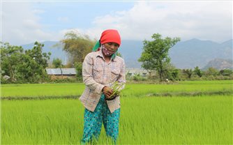 Thuận Bắc thực hiện tốt Dự án 1 Chương trình mục tiêu quốc gia 1719
