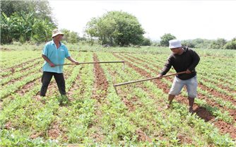Ninh Thuận: Phân bổ hơn 105 tỷ đồng thực hiện Chương trình MTQG 1719 năm 2025
