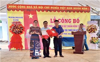 Gia Lai: Công bố làng Triêl đạt chuẩn nông thôn mới trong vùng đồng bào DTTS