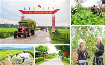Kế hoạch tổng kết Chương trình MTQG xây dựng nông thôn mới giai đoạn 2021 - 2025