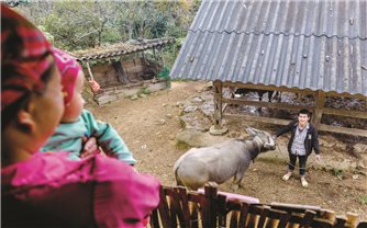 Gặp lại ở Phìn Sư