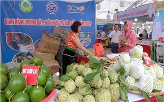 Đưa nông sản về phố