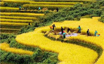 Thực hiện Chương trình MTQG 1719 giai đoạn II: Sẽ phân cấp mạnh cho chính quyền địa phương