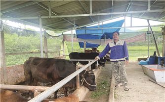 Những 